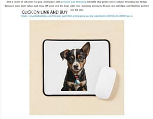 click on link and buy